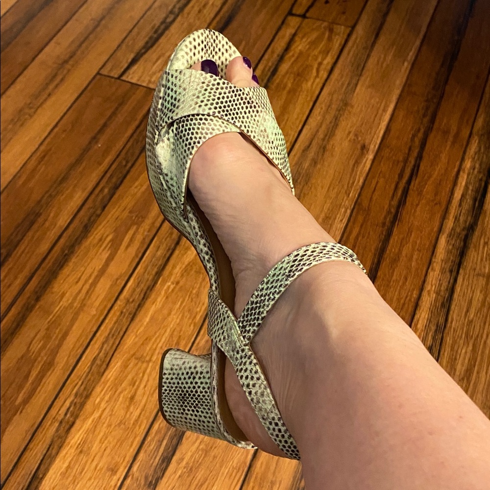Aerosoles Stylish Snakeskin Platform Heeled Sandals Size 12